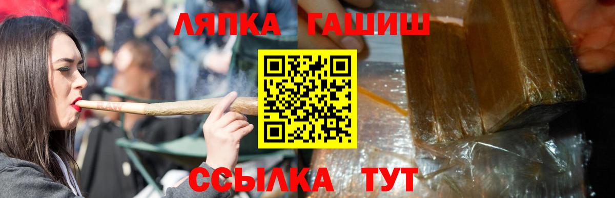 ГАШ гарик Новомосковск