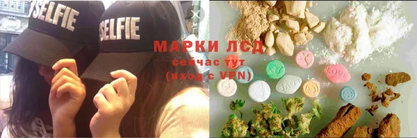 шишки Арсеньев