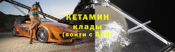 шишки Арсеньев