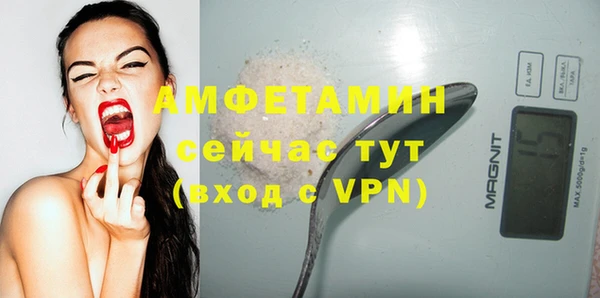 шишки Арсеньев