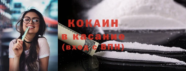 шишки Арсеньев