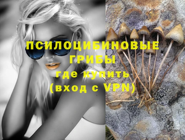 стафф Армянск
