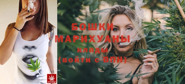 шишки Арсеньев