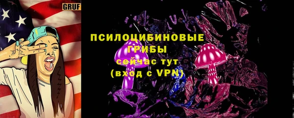 шишки Арсеньев