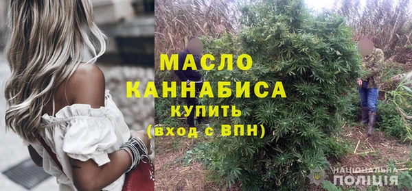 шишки Арсеньев
