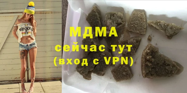 шишки Арсеньев