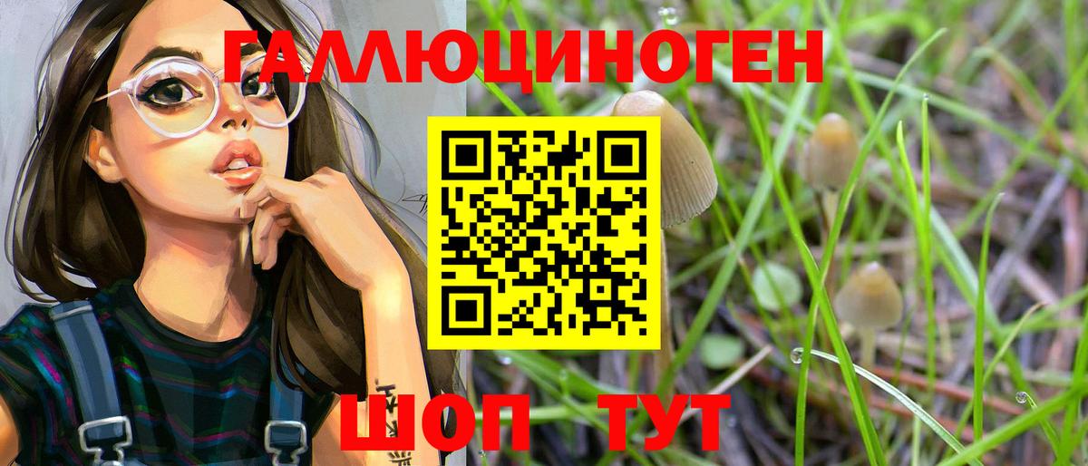 Новомосковск  Галлюциногенные грибы Psilocybe  Галлюциногенные грибы Psilocybine cubensis  Вход с VPN 