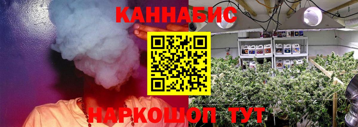 Канабис семена  Канабис White Widow  Вход с VPN  Новомосковск  МАРИХУАНА MAZAR 
